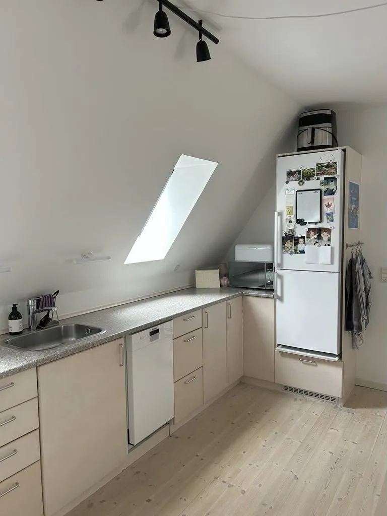 Kitchen - Bright Apartment with Garden View in Haderslev