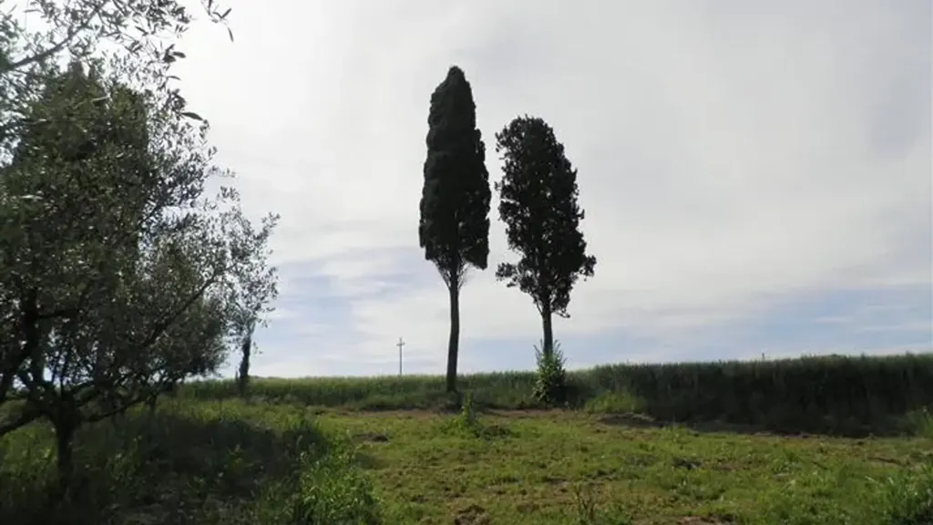 Aed - Casale with Two Apartments in Rosignano Marittimo