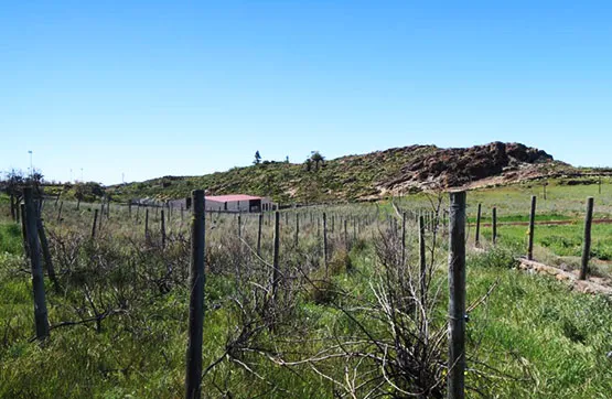 Jardin - Rustic Finca in Alajeró, Santa Cruz