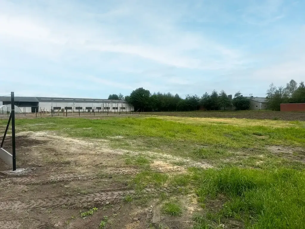 Aed - Open Building Plot with Green Surroundings in Wingene