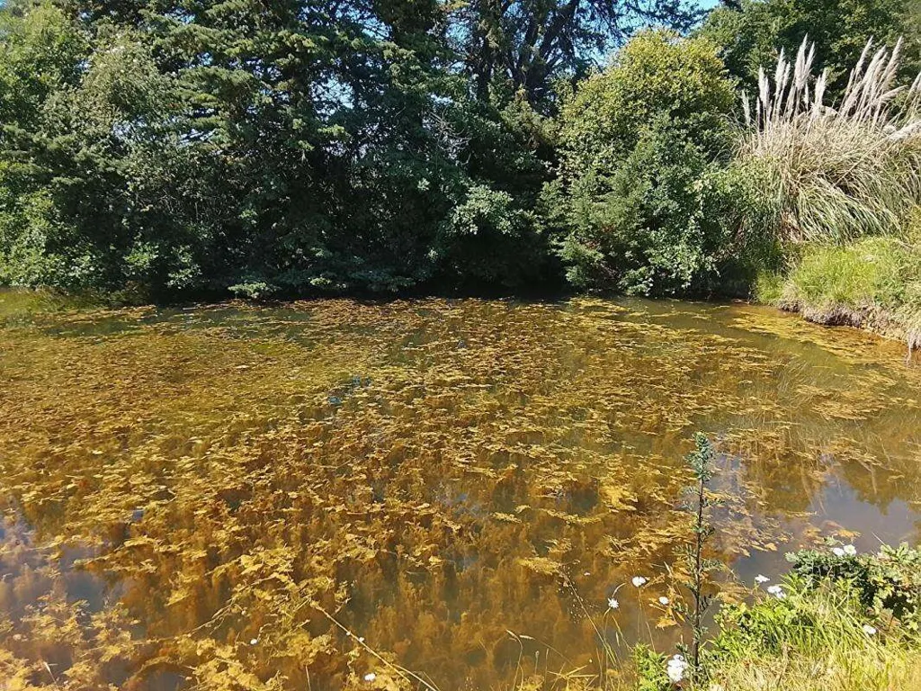 Terrain à Lureuil
