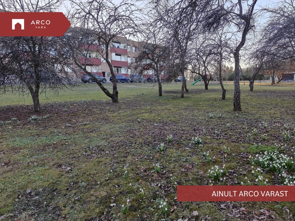 Jardin - 3-Bedroom Apartment with River View in Kaarlimõisa