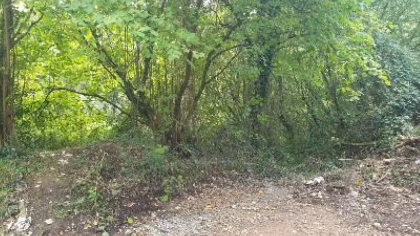 Kinnisvara asukohas Avilés