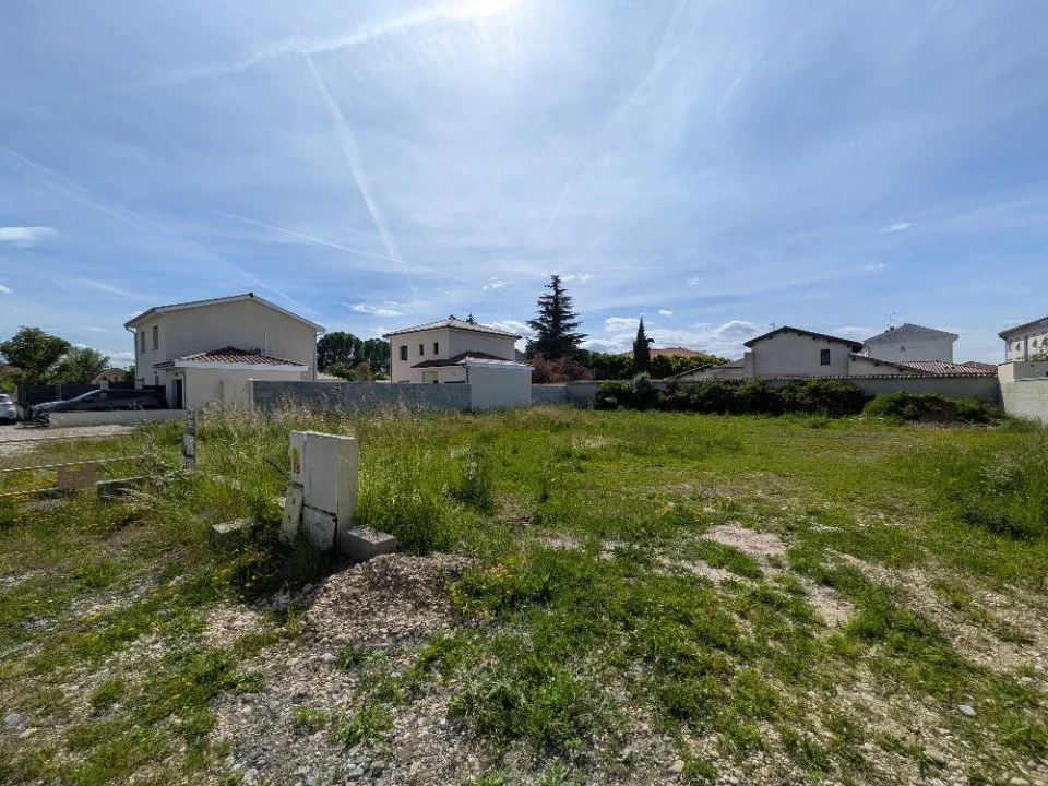 Jardin - Maison Ossature Bois à Loyettes avec Jardin