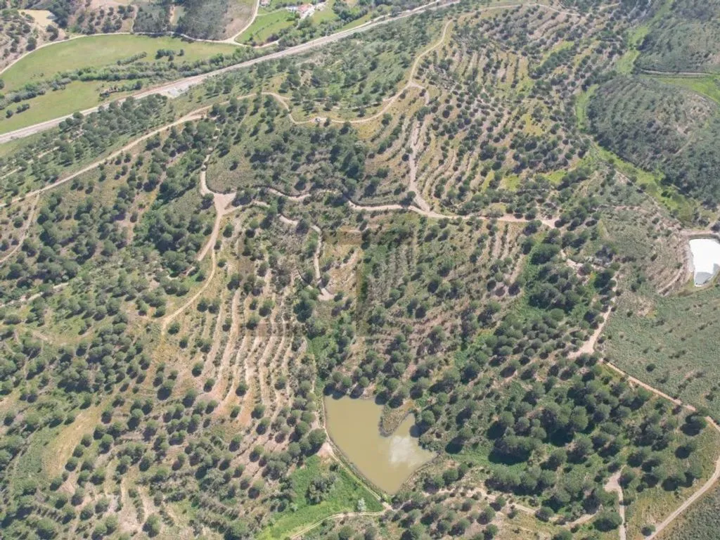 land_plot
