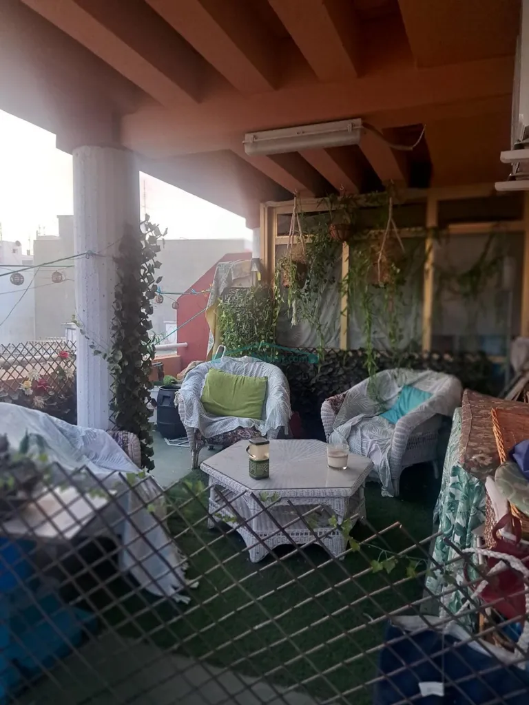 terrace_patio
