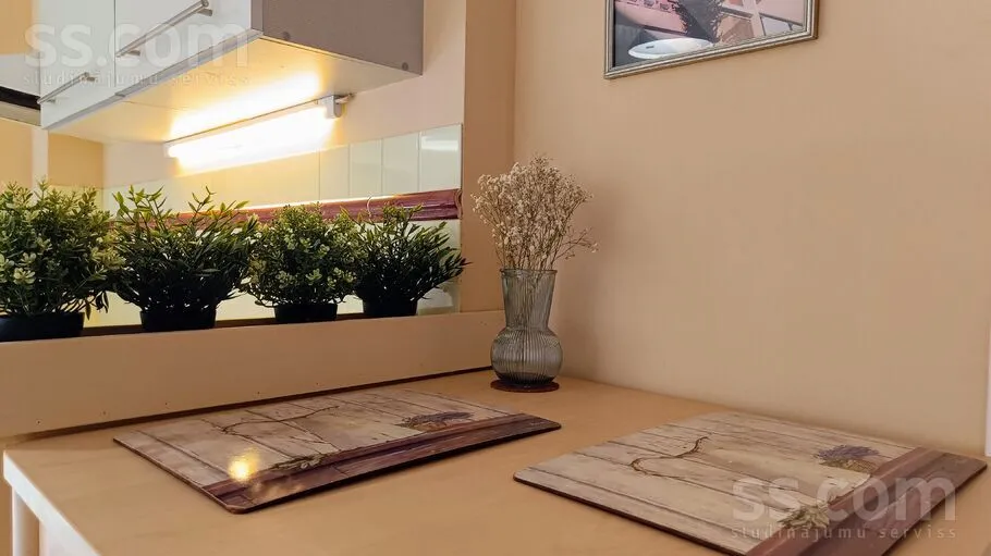 Ingresso - 1 Bedroom Apartment with Courtyard View in Riga Centre