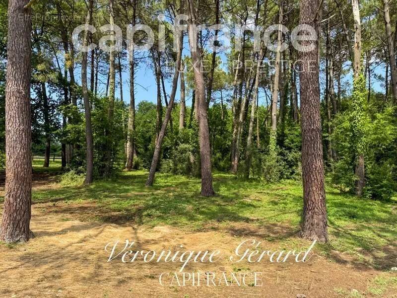 Aed - Equestrian Property with Longère in Salleboeuf