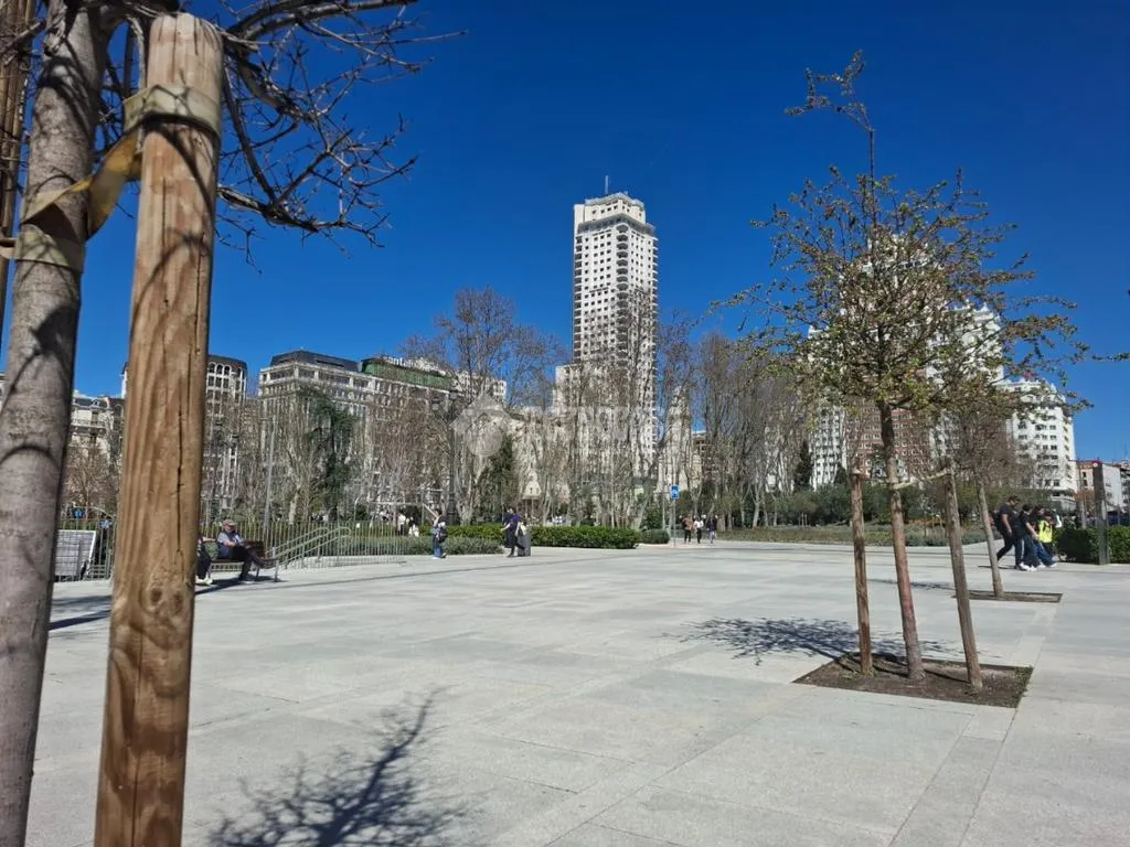 Commercial Property with Lottery Office in Madrid