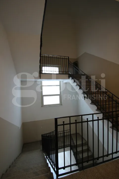 Toad - Refurbished Triplex with Balcony in Catania