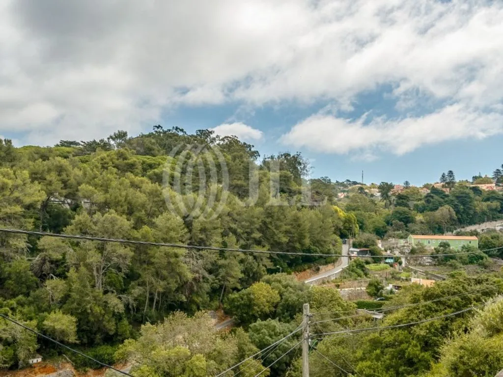 Jardin - Hotel Project with Garden in Sintra Historic Centre