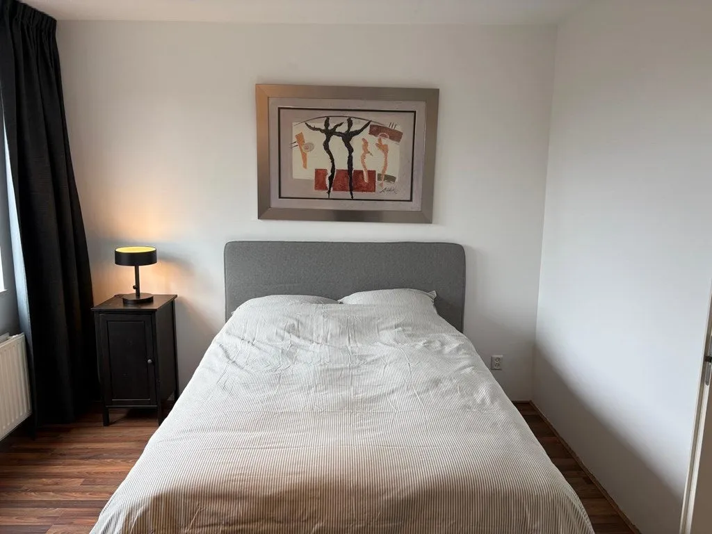 Magamistoad - Renovated Townhouse with Backyard in Osdorp