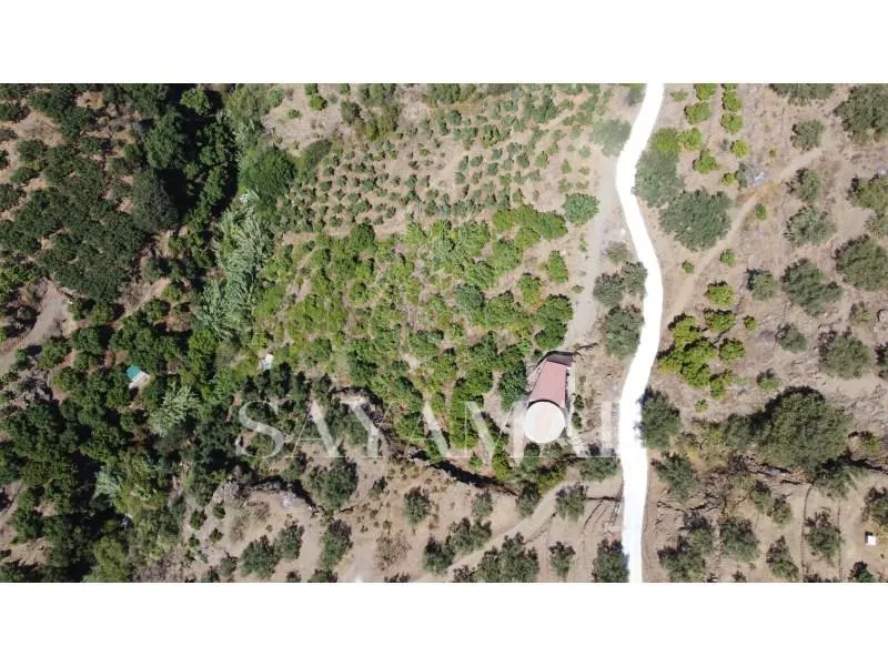 Vue aérienne - Private Finca with Fruit Trees in Sayalonga