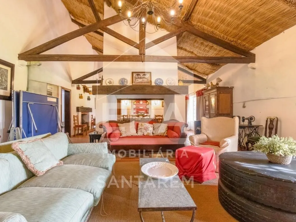 Séjour - Luxury House with Agricultural Land in Benfica do Ribatejo