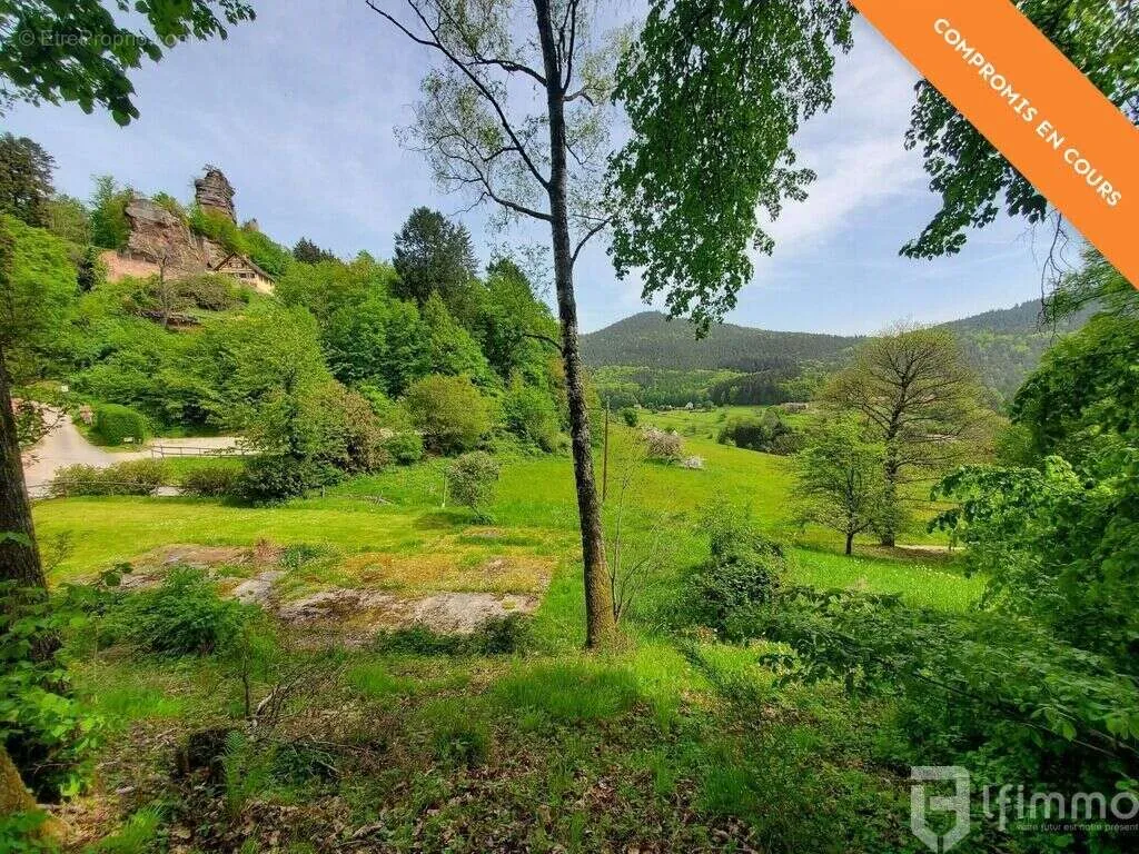 Jardin - Terrain à Bâtir avec Vue sur la Vallée à Windstein
