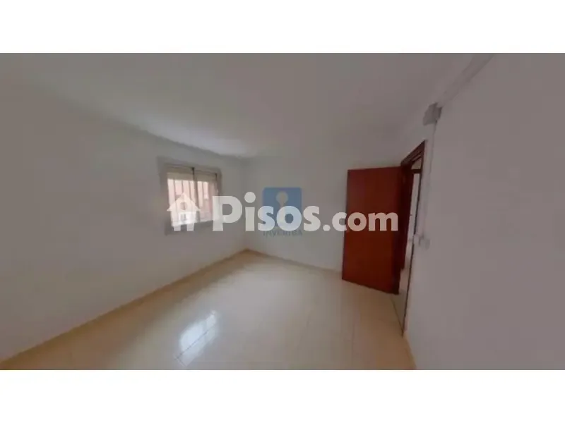 Toad - Occupied Flat in Terrassa, Barcelona