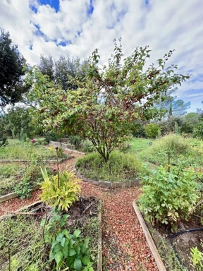 Garden - Luxury Villa with Pool in Goult