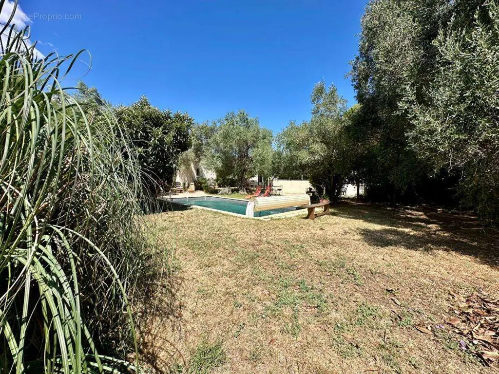 Piscine - Villa de Plain-pied avec Piscine entre Pignan et Cournonterral