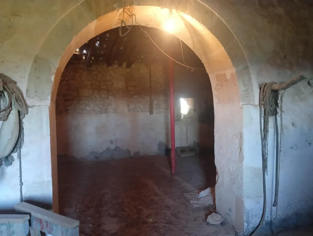 Toad - Luxury Farmhouse with Well in Manacor