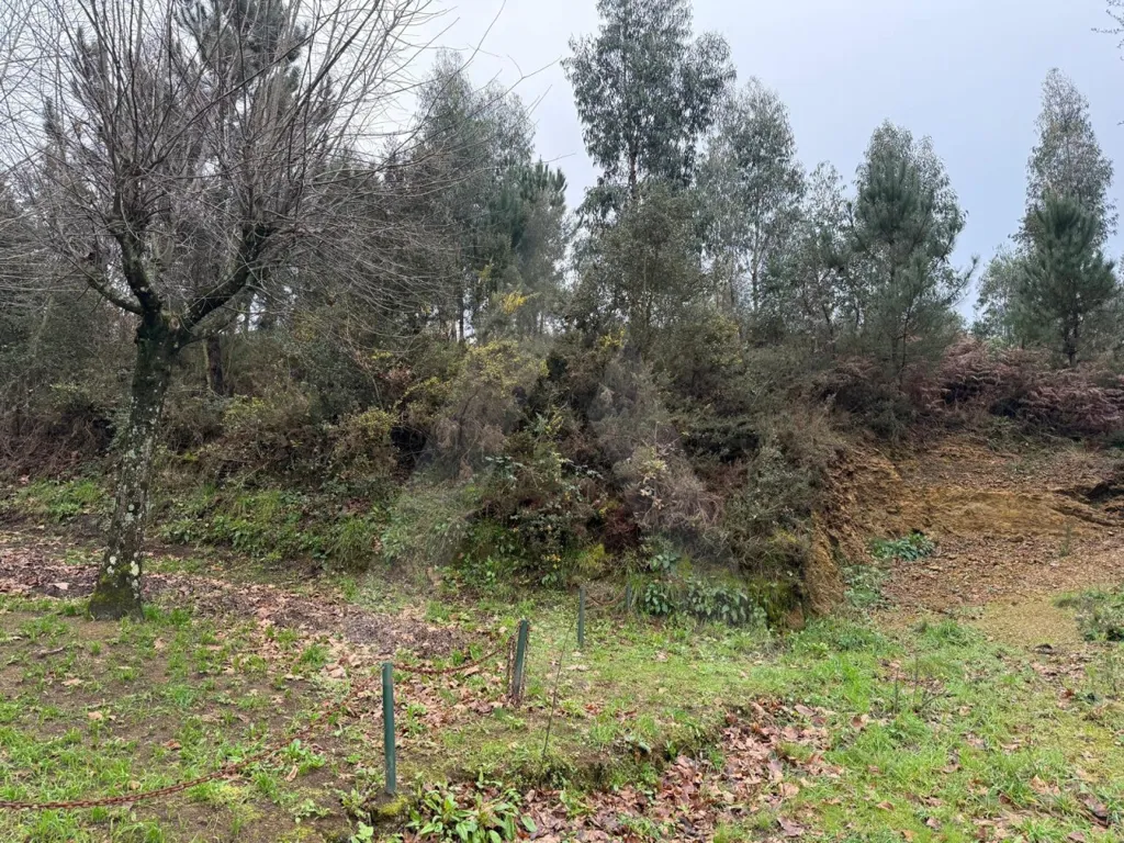 Jardin - Plot with Garden View in Nogueira do Cravo