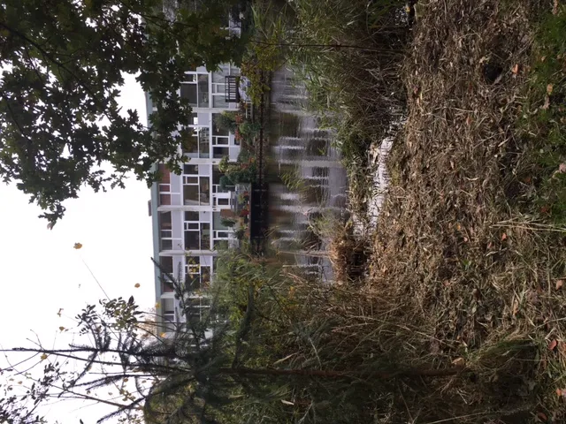 Aed - Shared Apartment with Water Park View in Park Area