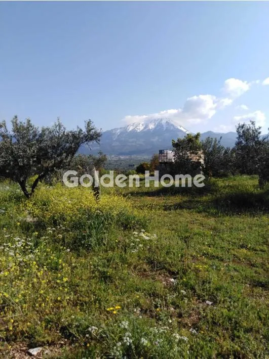 Giardino - Unique Estate with Panoramic View in Kainoi, Euboea