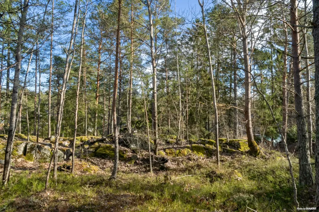 Terrain à Tyresö