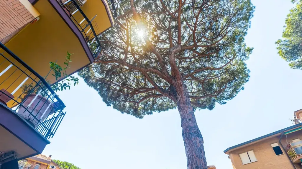 Välivaade - Three-Bedroom Apartment with Garden in Garbatella, Rome