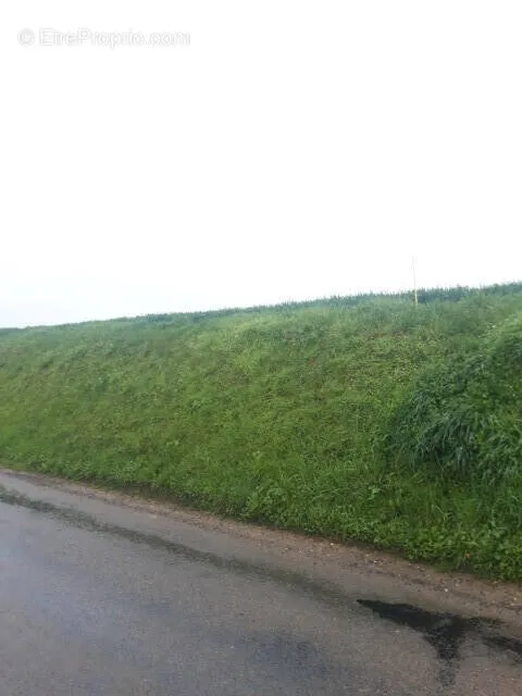 Giardino - Buildable Land with 21m Width near Beauvais