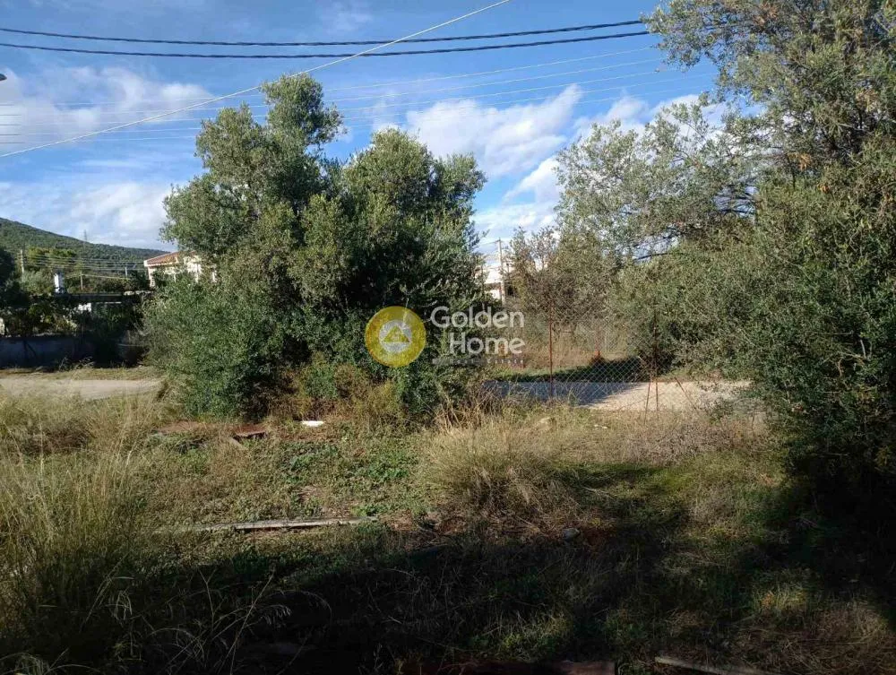 Aed - Corner Plot with Unobstructed View in Paiania Centre