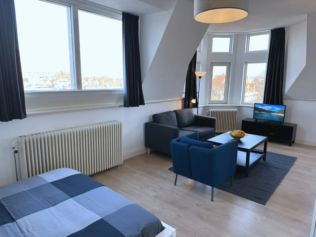 Chambres - Studio with Private Kitchen in Kralingen, Rotterdam