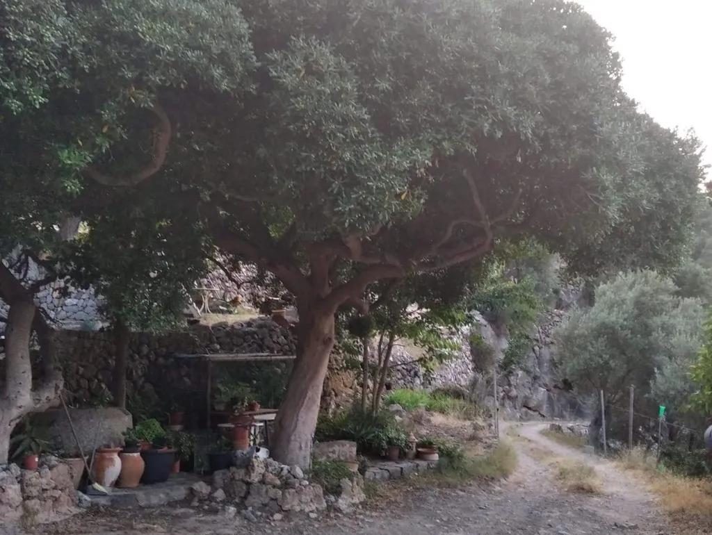 Extérieur - Mallorquin House with Fruit Trees in Deyá
