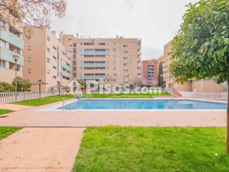 Piscine - Appartement 2 pièces à ES