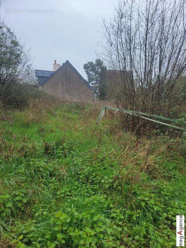 Jardin - Terrain Constructible avec Garage à Avessé