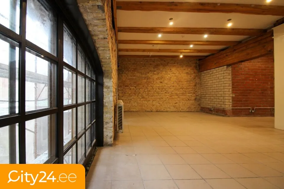 Toad - Warehouse with Central Heating in Riga Centre
