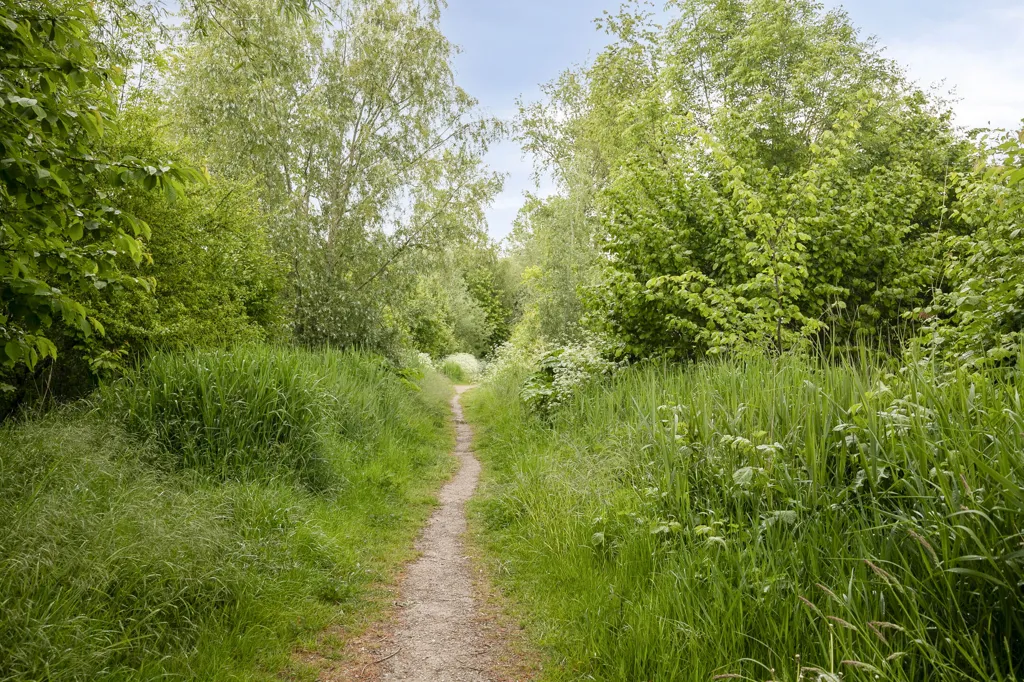 2 magamistoaga maja asukohas Almere