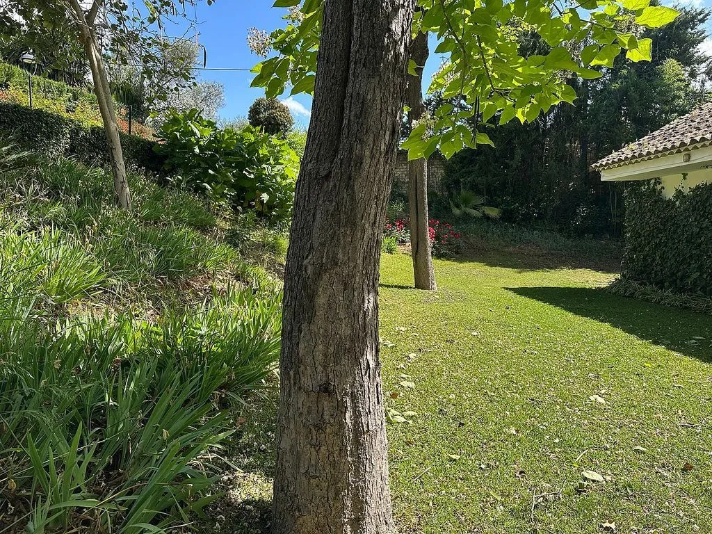 garden