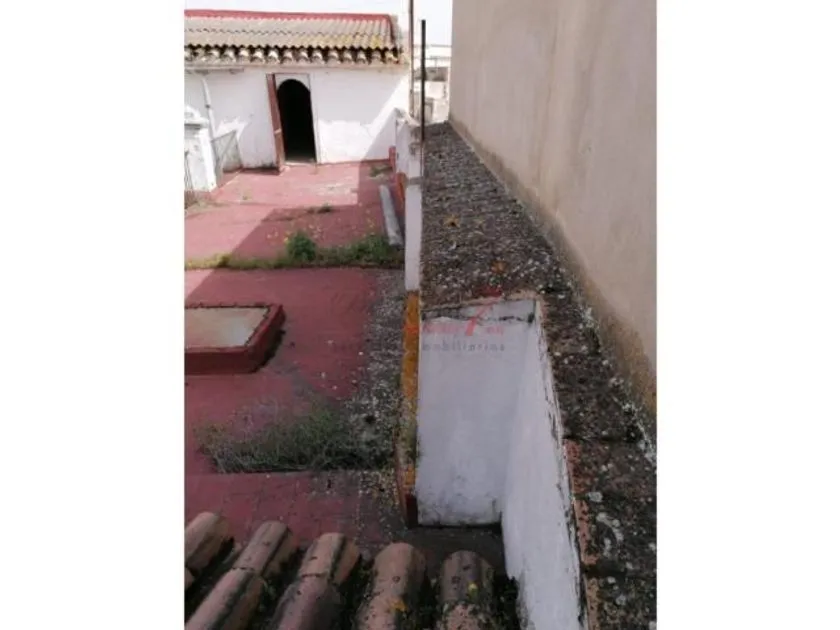 Giardino - Historic Chalet with Arched Patios in Jerez