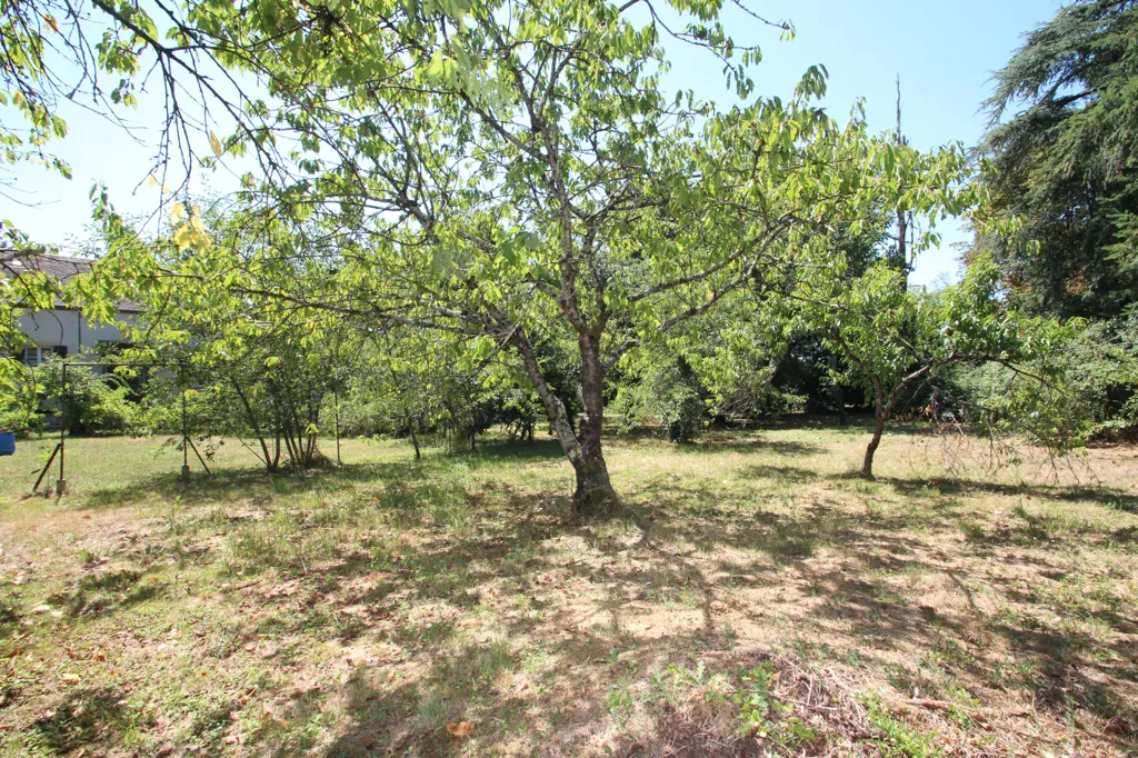 Jardin - Maison du 19ème Siècle avec Parc à Champvert
