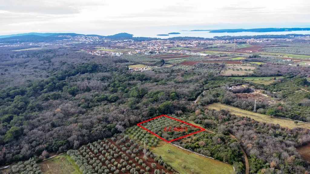 Aerial - Olive Grove Land in Fondole, Istria