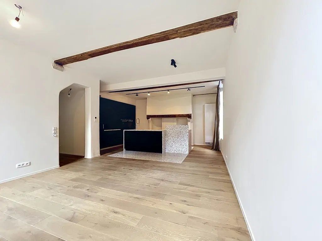 Elutuba - Authentic House in Central Gent