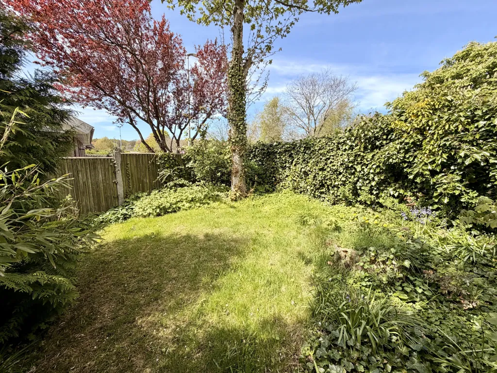 garden