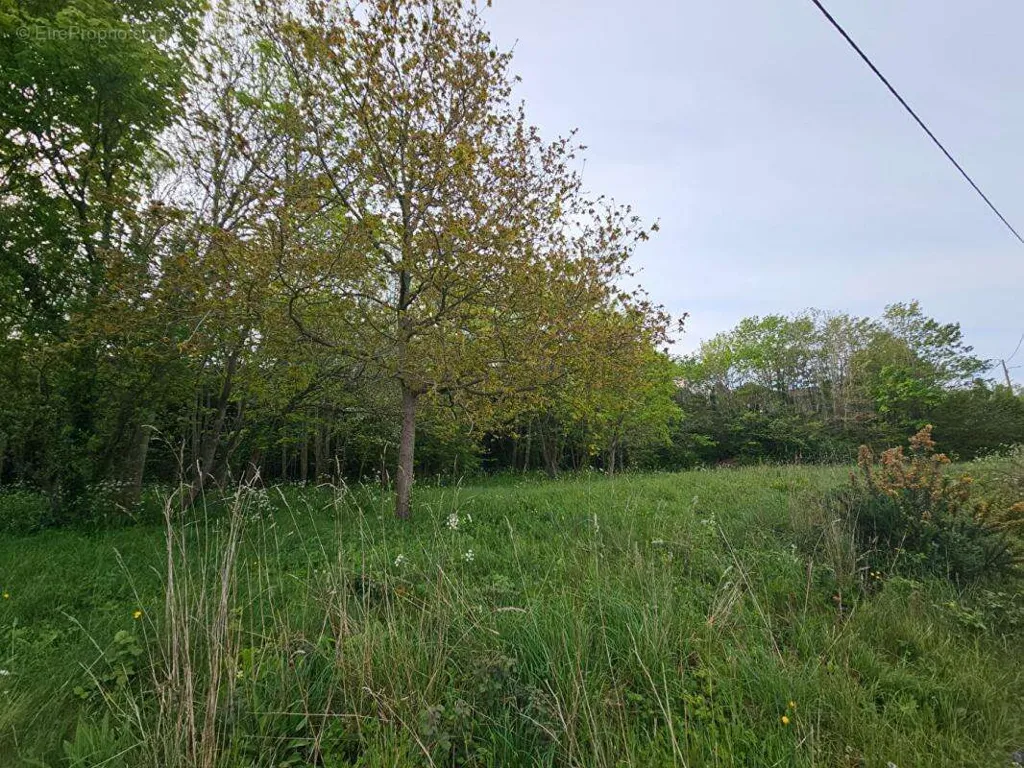 Jardin - Terrain à Bâtir avec Espace Boisé à Granville