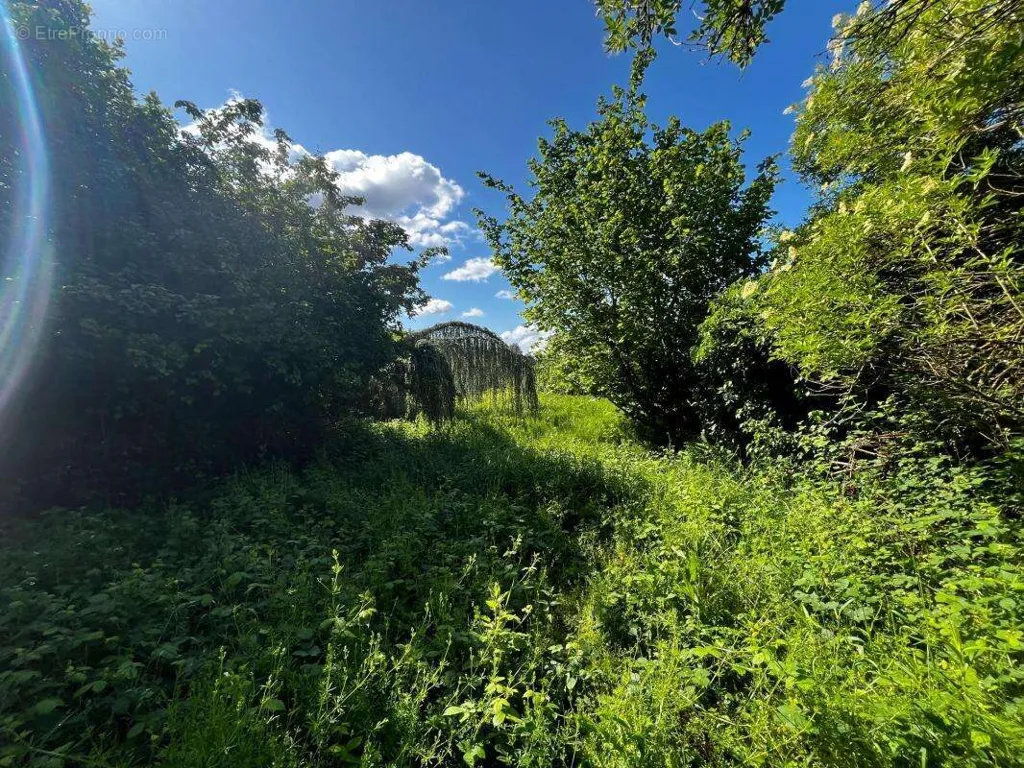 Maa asukohas Auvers-Sur-Oise