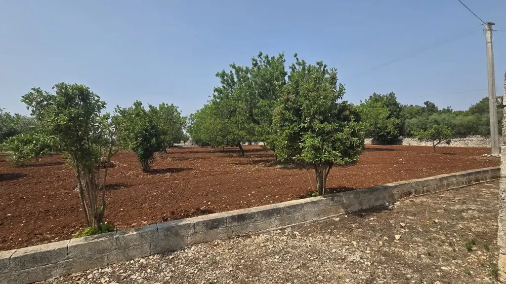 Garden - Trullo Complex for Renovation in Ostuni