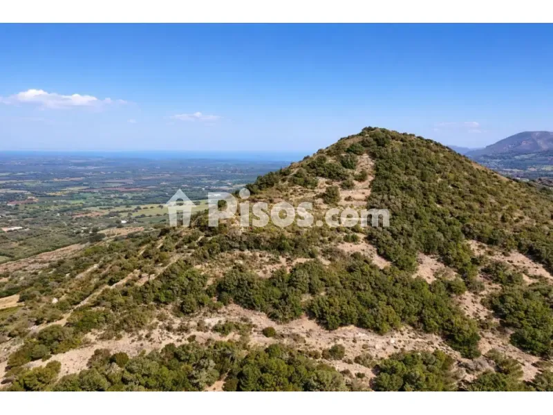 Historic Mallorcan Estate with Panoramic Views, Manacor