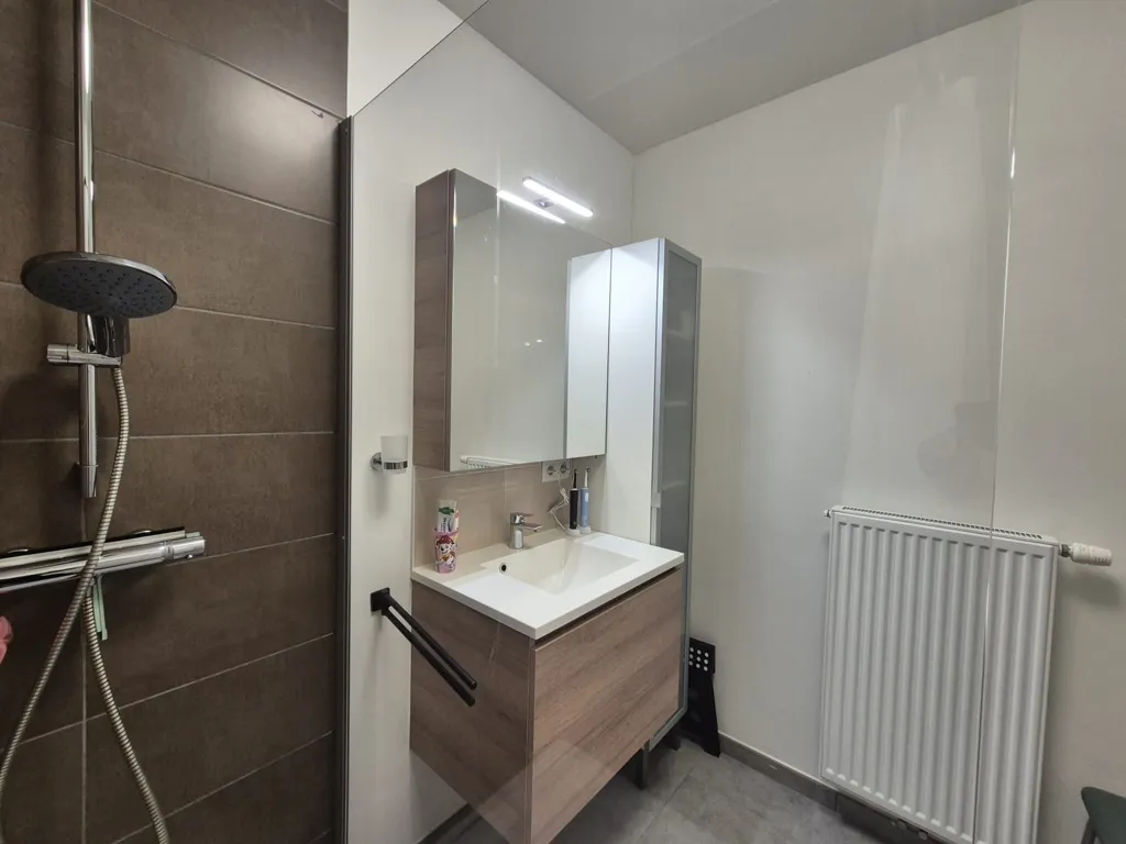Vannitoad - Modern Ground Floor Flat with Terrace in Brussels