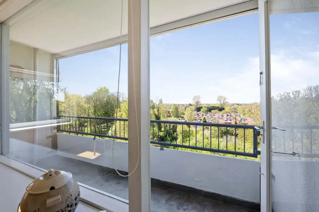 Balcon - Corner Apartment with Green Views in Haarlem