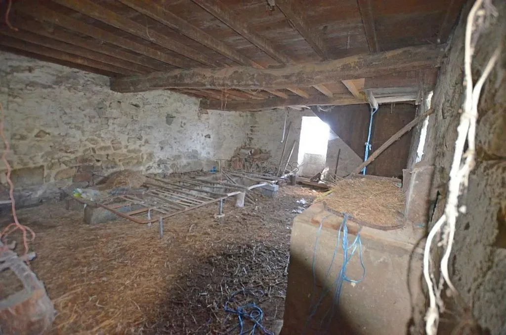 Toad - Stone Cottage for Renovation in Gondomar