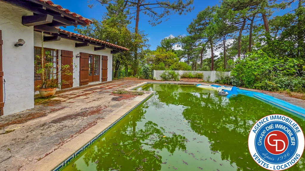 Piscine - Villa de Plain-Pied avec Piscine à Pyla-sur-Mer